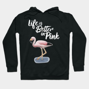 Flamingo Life Is Better In Pink Hoodie